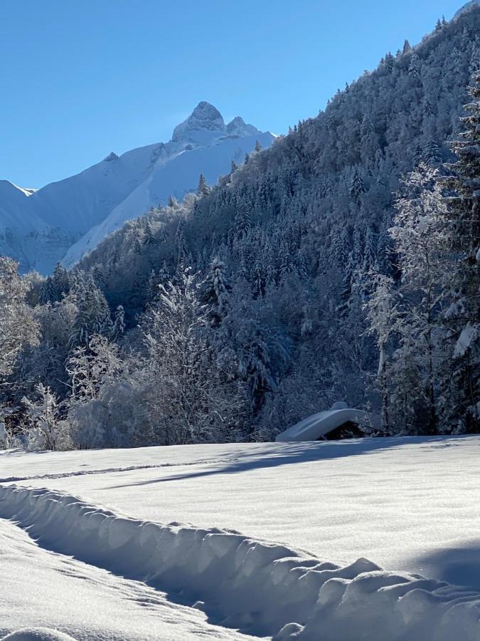 Landhaus Am Plattenbichl - Luxus Apartment Mit Privat-Pool Und Sauna - Im Sommer Bergbahn Inklusive Oberstdorf Dış mekan fotoğraf