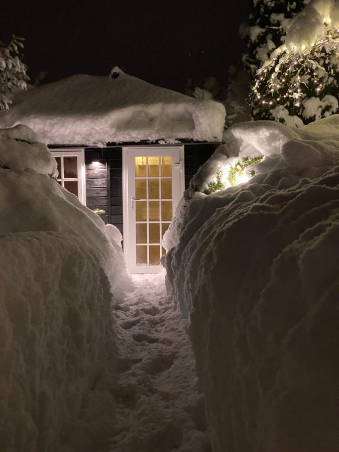 Landhaus Am Plattenbichl - Luxus Apartment Mit Privat-Pool Und Sauna - Im Sommer Bergbahn Inklusive Oberstdorf Dış mekan fotoğraf