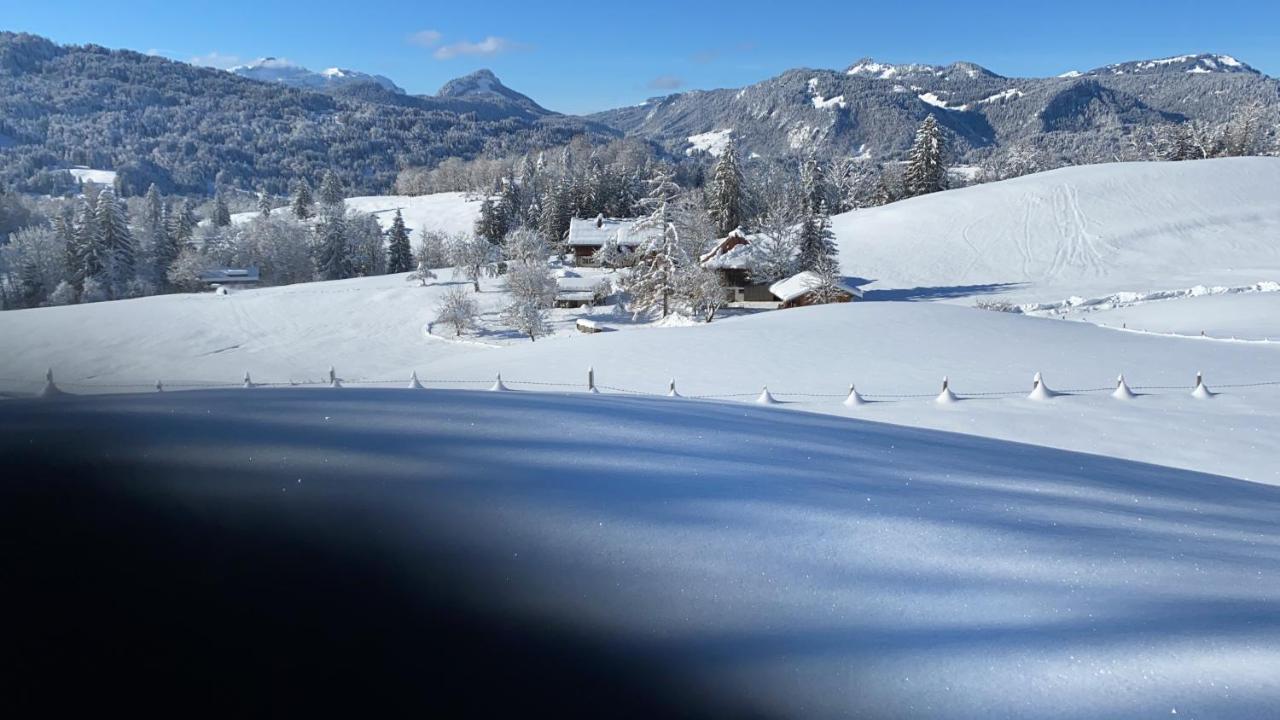 Landhaus Am Plattenbichl - Luxus Apartment Mit Privat-Pool Und Sauna - Im Sommer Bergbahn Inklusive Oberstdorf Dış mekan fotoğraf