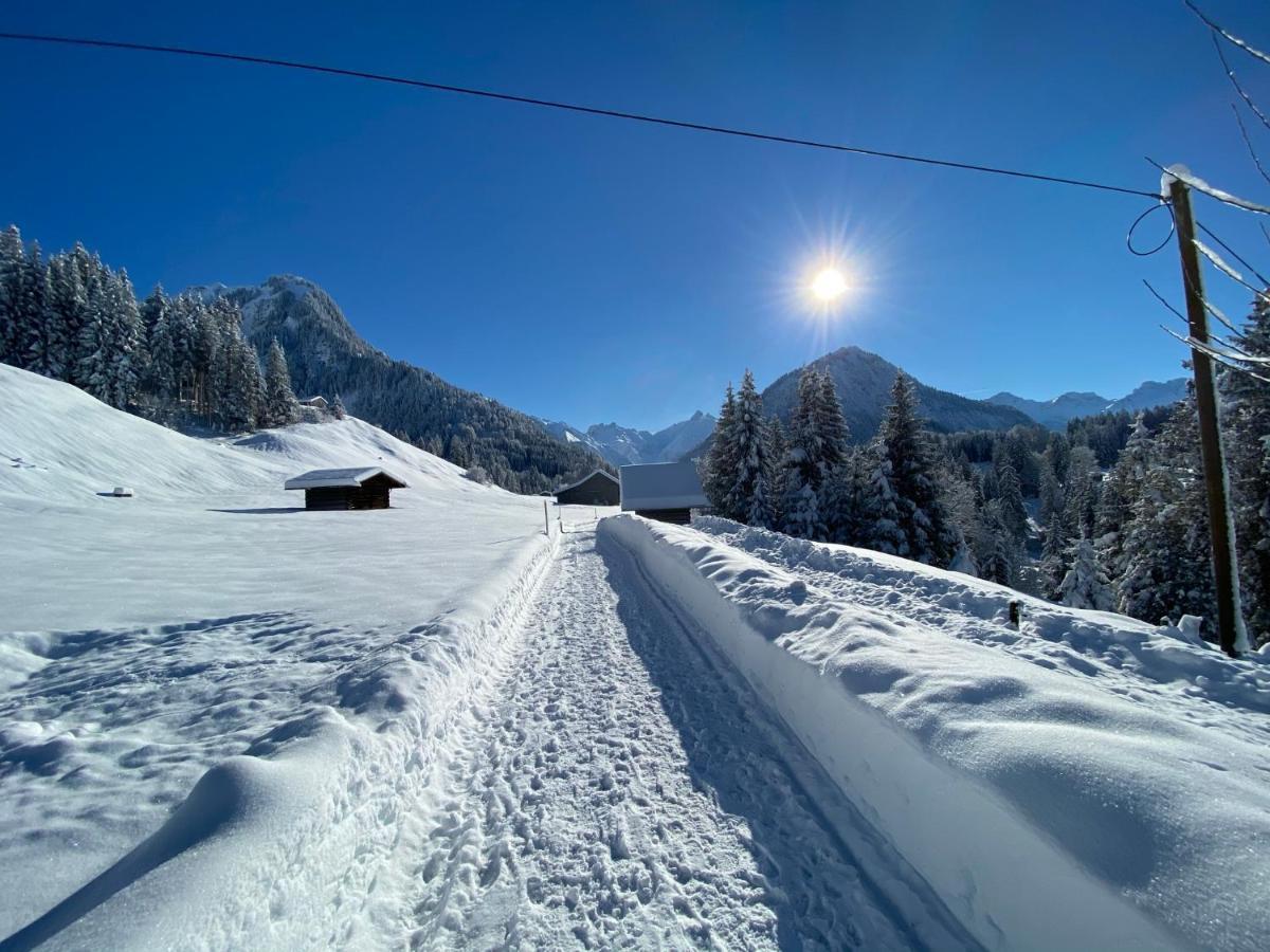 Landhaus Am Plattenbichl - Luxus Apartment Mit Privat-Pool Und Sauna - Im Sommer Bergbahn Inklusive Oberstdorf Dış mekan fotoğraf